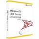 Microsoft SQL Server 2022 Enterprise 2 Core License Pack (CSP Perpetual)